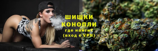 spice Магас