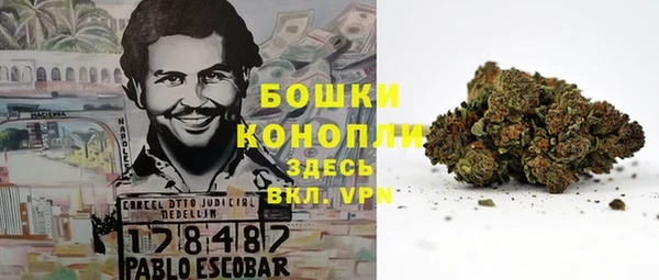 прущий лед Абаза