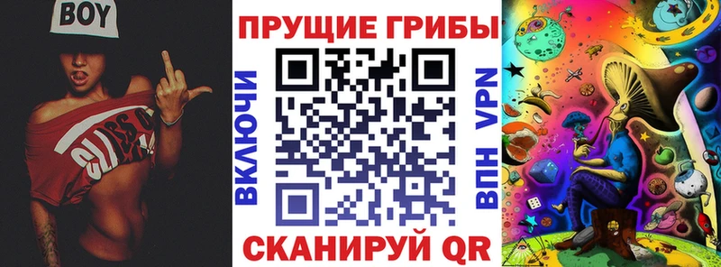 Галлюциногенные грибы мицелий даркнет сайт Осташков